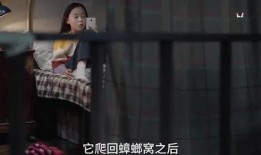 爆姐最新爆料视频大全,揭秘娱乐圈幕后真相